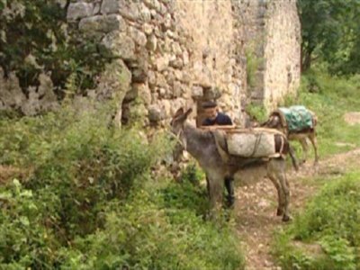 ganado (7)  MAQUINAS
